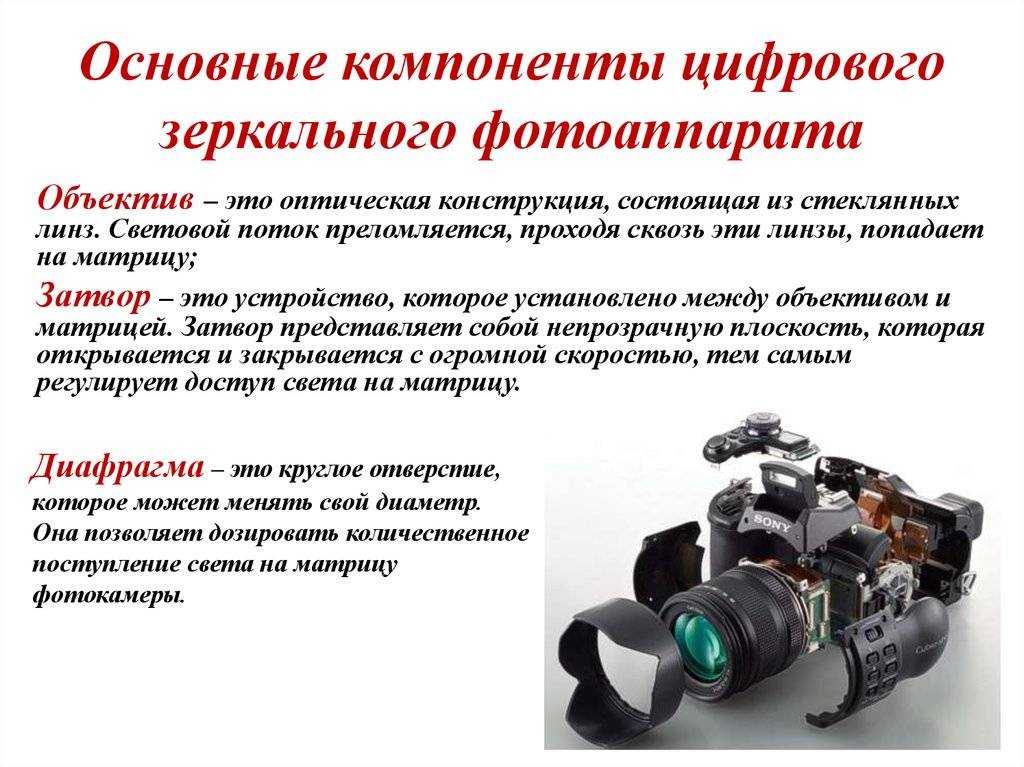 Выбираем фотокамеру: зеркалка, беззеркалка, компакт или смартфон? - itc.ua