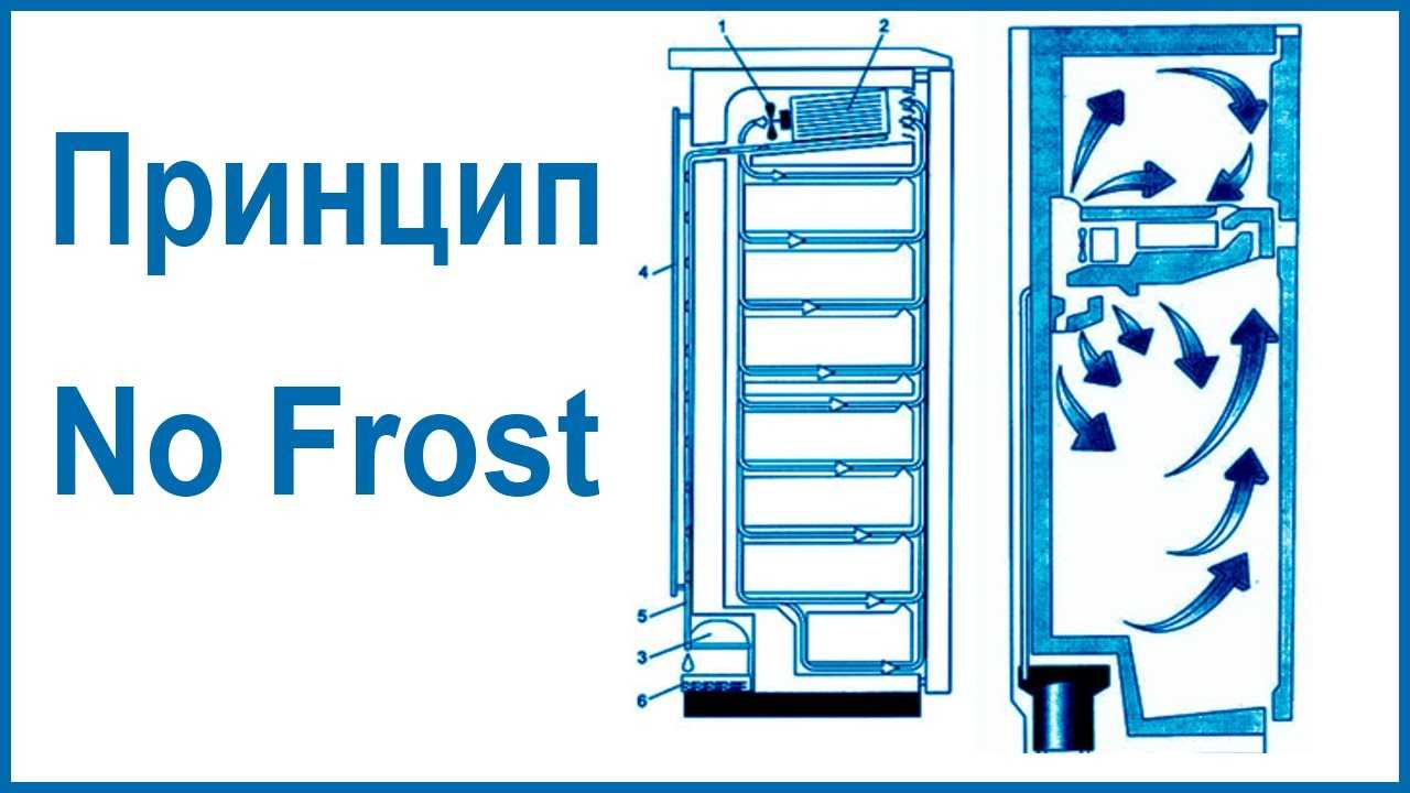 Разморозка холодильника «ноу фрост» - как часто это делать