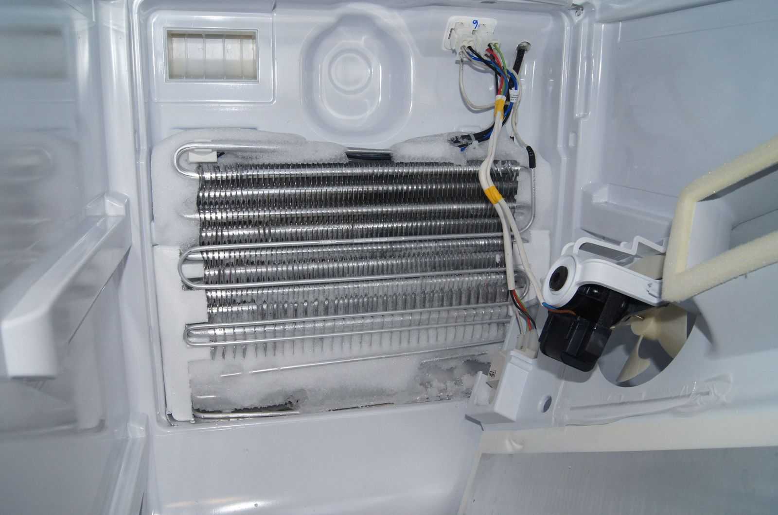 Морозильная камера холодильника не морозит или не работает? советы мастера