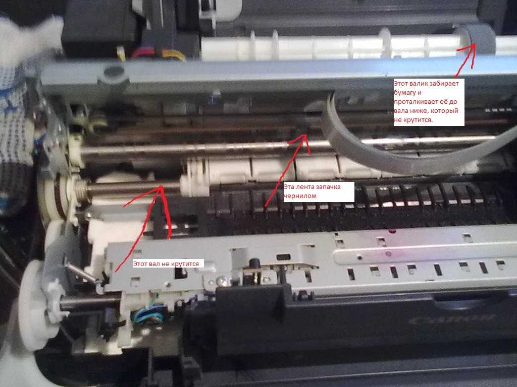 Зажевало бумагу принтер canon. Датчик бумаги Epson l110. Датчик замятия Epson rx610. Датчик захвата бумаги принтер Canon 3010. Датчик замятия бумаги Epson t50.