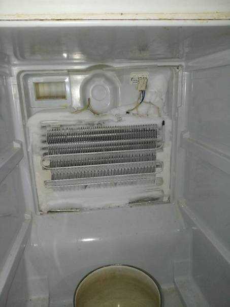 Сколько времени должен работать холодильник, режим работы после разморозки