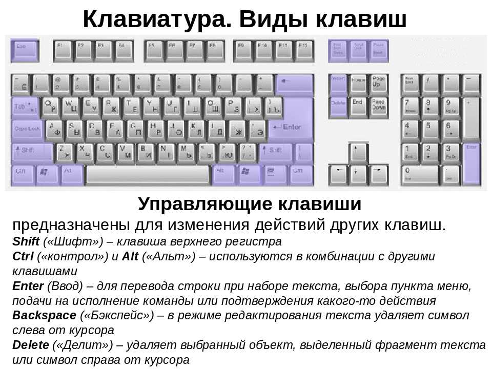 Что такое компьютерная клавиатура: все что должны знать о ней пользователи