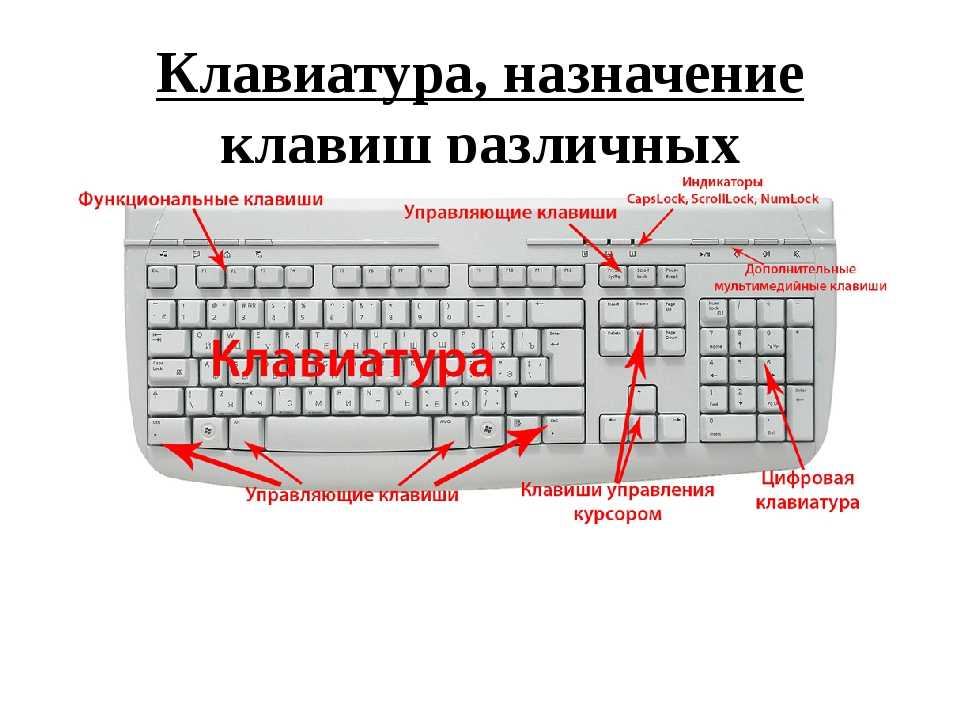 Сегодня мы разбираем клавиатуру ноутбука, раскрываем назначение клавиш и даем их описание с фото Речь пойдет о лэптопах, работающих под Windows