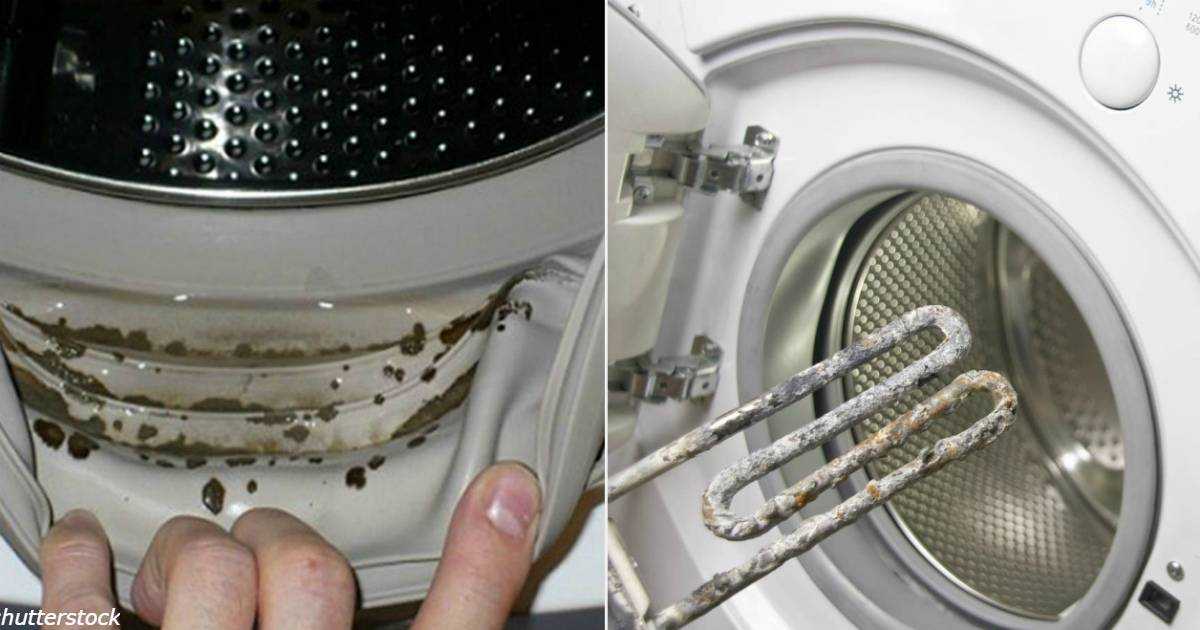 Как почистить манжету в стиральной машине от плесени?