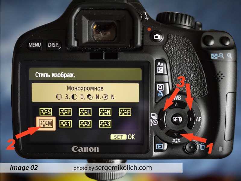 Как проверить пробег фотоаппарата canon