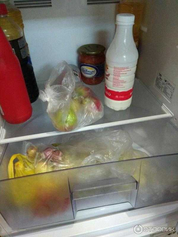Как включить холодильник первый раз после перевозки и разморозки