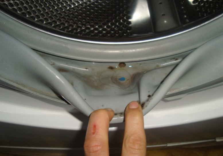 Стоит вода в отсеке для кондиционера: ремонт стиральных машин