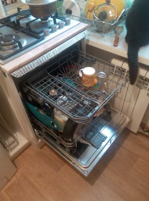 Особенности установки посудомоечной машины: виды машин, нюансы установки в готовую кухню