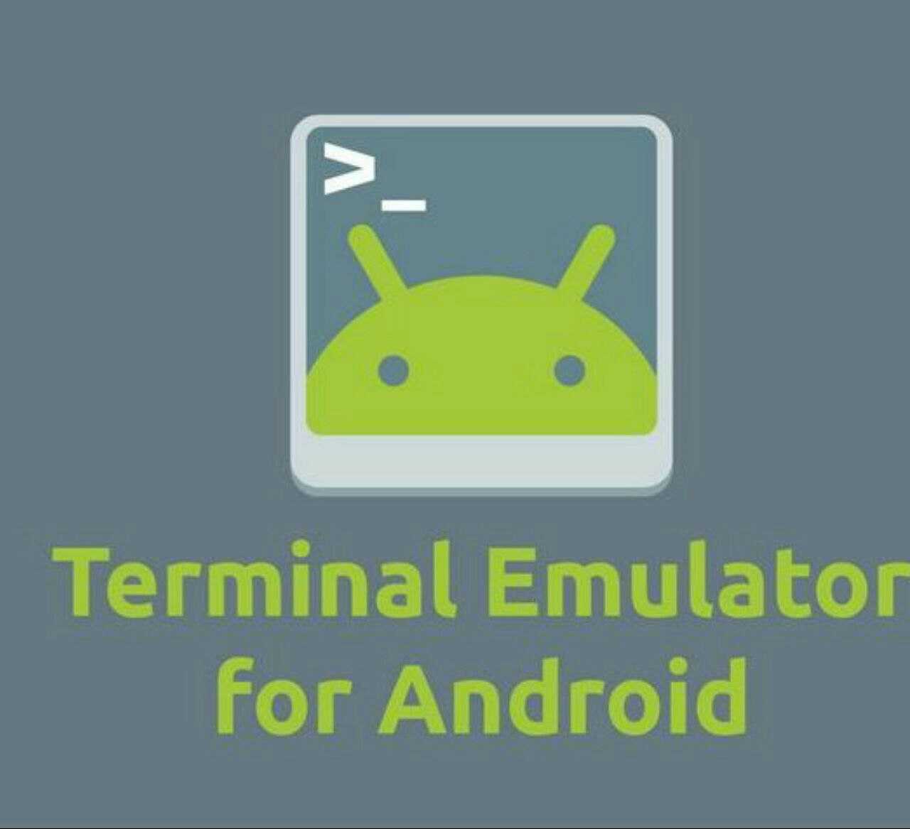 Эмулятор терминала. Android Terminal. Terminal Emulator for Android. Терминал приложение на андроид. Android term
