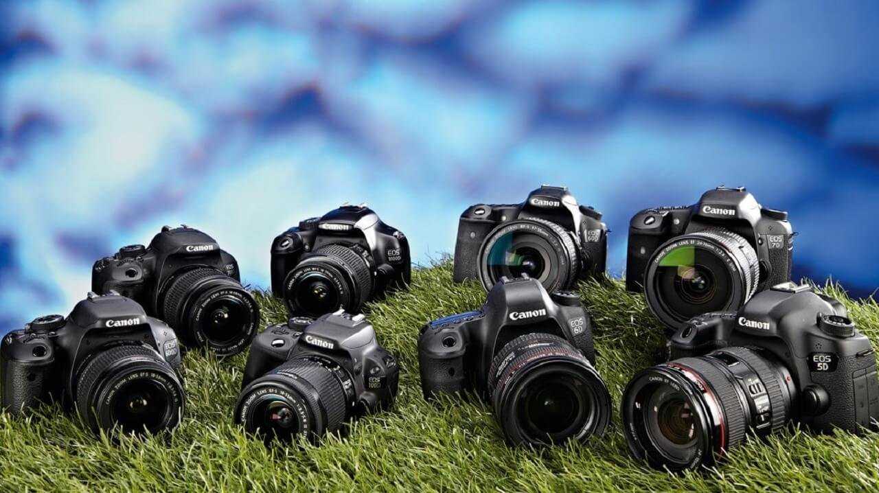 Топ 10 лучших беззеркальных фотоаппаратов canon