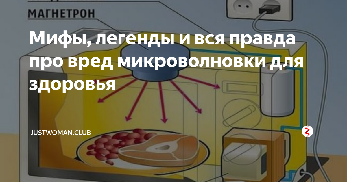 Презентация еда из микроволновки польза или вред